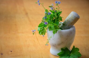 purple petaled flowers in mortar and pestle