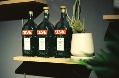 bottles of gin on wooden shelf with cactus